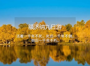 金秋额济纳包车九日游